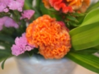 DSCF8148.JPG